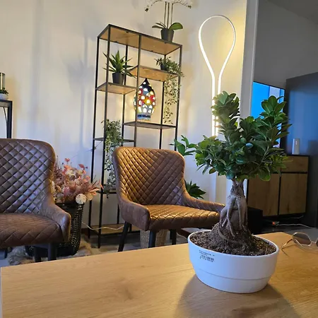 Quattro Olive- Via Della Meridiana 68 Καόρλε