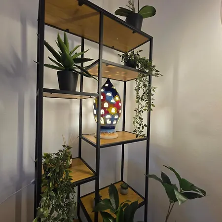 Quattro Olive- Via Della Meridiana 68 Διαμέρισμα *