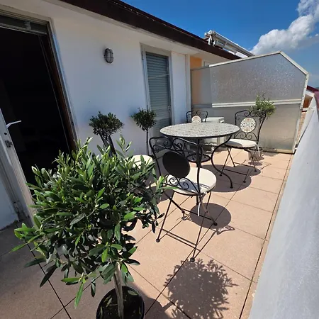 Quattro Olive- Via Della Meridiana 68