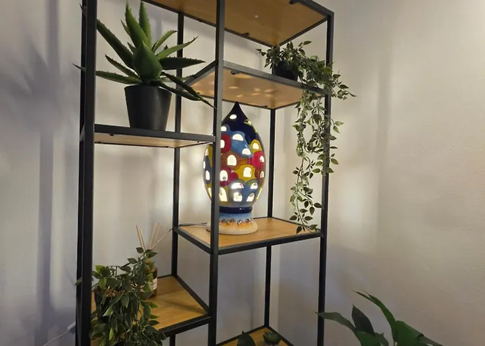 Quattro Olive Apartamento *