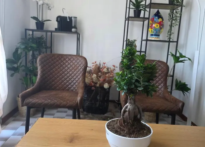 Quattro Olive Apartamento