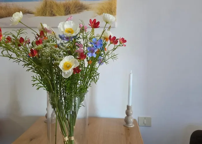 Quattro Olive Apartamento *