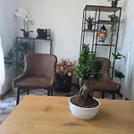 Quattro Olive- Via Della Meridiana 68 شقة