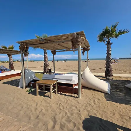 Quattro Olive Apartament *