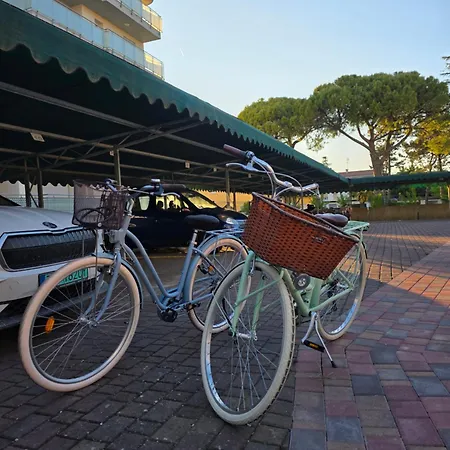 Quattro Olive Apartament