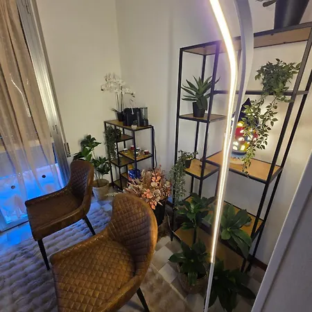 Quattro Olive- Via Della Meridiana 68 *