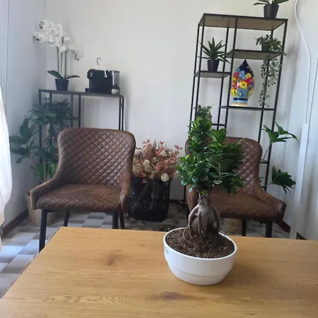 Quattro Olive Apartament