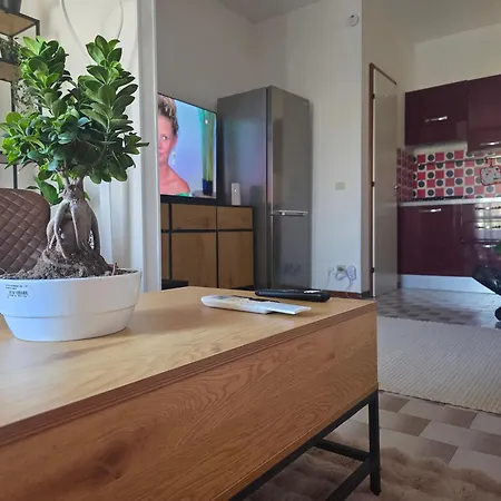 아파트 Quattro Olive 카오를레