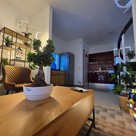 Quattro Olive * 카오를레