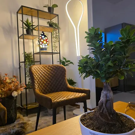 Quattro Olive Apartament Caorle