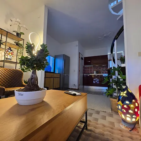 Quattro Olive- Via Della Meridiana 68