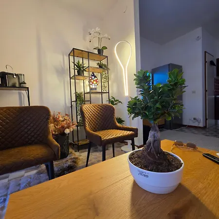 Apartament Quattro Olive