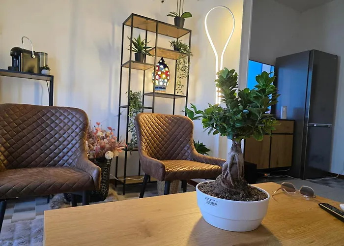 Quattro Olive カオルレ